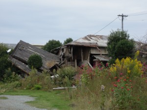 倒壊したまま放置された家屋。生い茂った雑草が時の経過を物語る